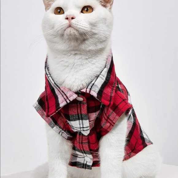 Cat/ dog clothes - Picture 2 of 4